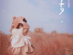 -映月湖中央公园