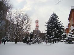 -北海道厅旧本厅舍(旧本庁舎)