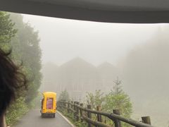 -武陵山森林公园