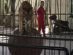 -广东茂名森林公园