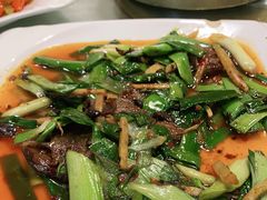 -圣厨牛腩(青春岛社区玉寿苑店)