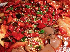 -胡桃里乐队酒馆(农科路店)