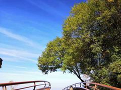 -少华山国家森林公园