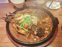 -老板恋上鱼(恒隆广场店)