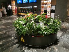 -大鸭梨烤鸭(枣园店)