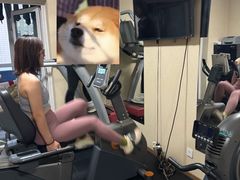-炼健身私教工作室