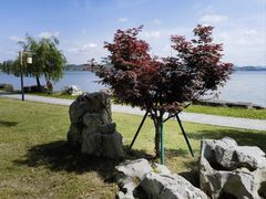 -东钱湖旅游度假区