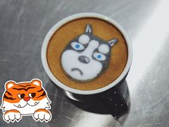 -王森咖啡西点烘焙培训(上海名厨中心店)