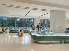 -东北大学附属辽宁爱尔眼科医院