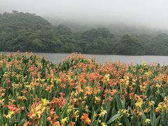-广州市石门国家森林公园
