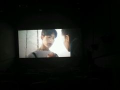 -山文星辉影城(济南和谐广场店)