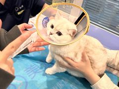 -美迦爱-牙专科·兔科·骨科诊疗中心(北苑店)