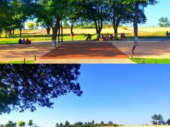 -汉长安城未央宫国家考古遗址公园