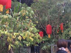 -胡桃里音乐酒馆(星湖北一里店)