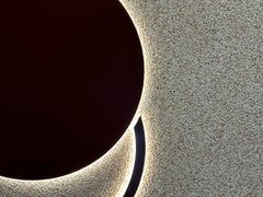 -泽田本家·铜锣烧(环贸店)