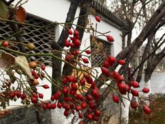 -慢丽江·云南野生菌土鸡锅(西山店)