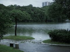 -飞来湖湿地公园