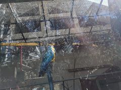 -昆明动物园