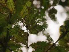 景点-同里国家湿地公园