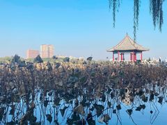 -济南大明湖景区