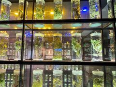 -广东中医药博物馆
