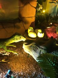 点击看大图 -恐龙探索乐园(磁器口店)