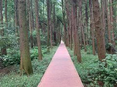 -同里国家湿地公园