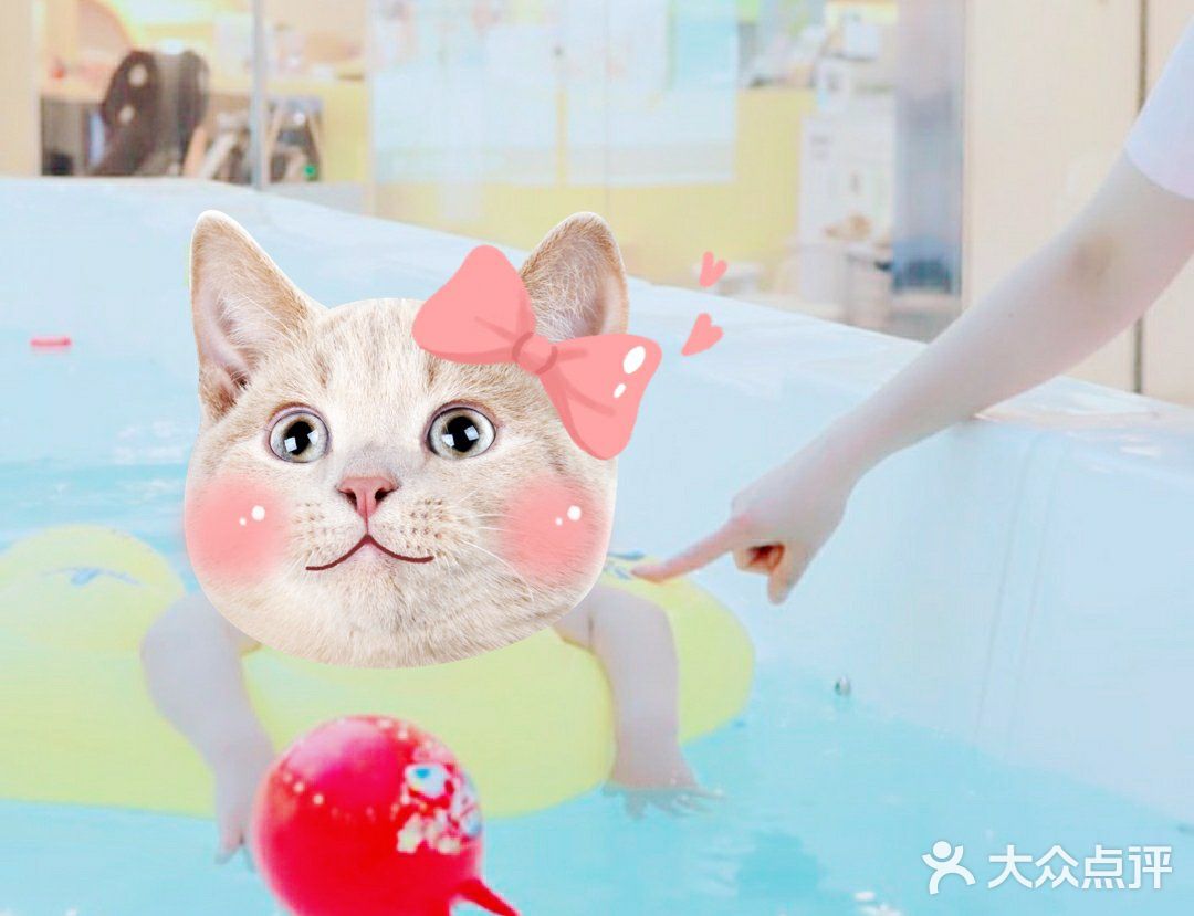 宝宝从小游泳可以更聪明哦~
