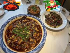 -正宗来凤鱼璧山兔(花卉园店)