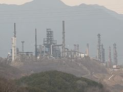 -白水寺森林公园
