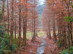 -广州市白云山风景名胜区