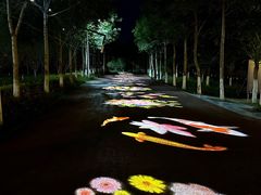 -水上乐园·欢乐世界