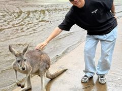 -可伦宾野生动物保护区