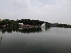 -大塘金香草谷