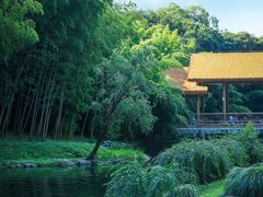 -杭州植物园