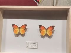 -四川宋瓷博物馆