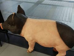 -猪角·闽南猪脚饭(文三路店)