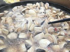 -顺德哥卜卜贝(旗舰店)