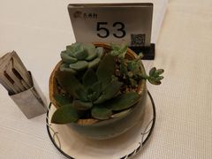 -天瑞轩·粤菜餐厅