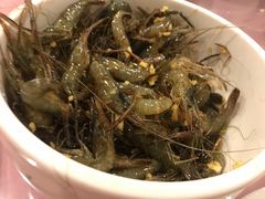 -上海尊茂酒店