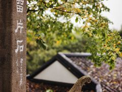 -西泠印社