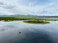 -花湖生态旅游区