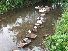 -溪口-滕头旅游景区