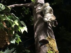 -陕西自然博物馆