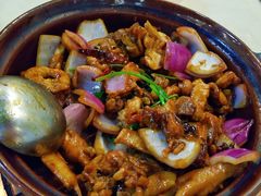 -胡须佬鸡煲四季火锅(龙珠大道店)