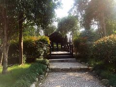 -三江森林温泉度假区