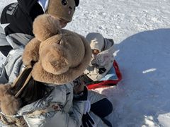 -沈阳奥体冰雪嘉年华