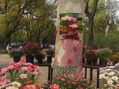 -上海共青森林公园