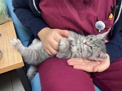 -美联众合动物医院·24h京西诊疗中心
