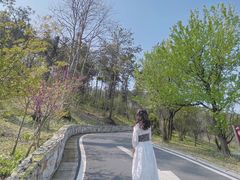 -黄陂区野村谷景区